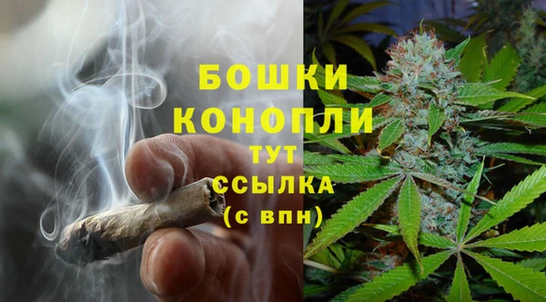 сатива Верхний Тагил
